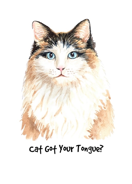 Aquarellzeichnung einer flauschigen Katze mit blauen Augen und dem Spruch „Cat Got Your Tongue?“