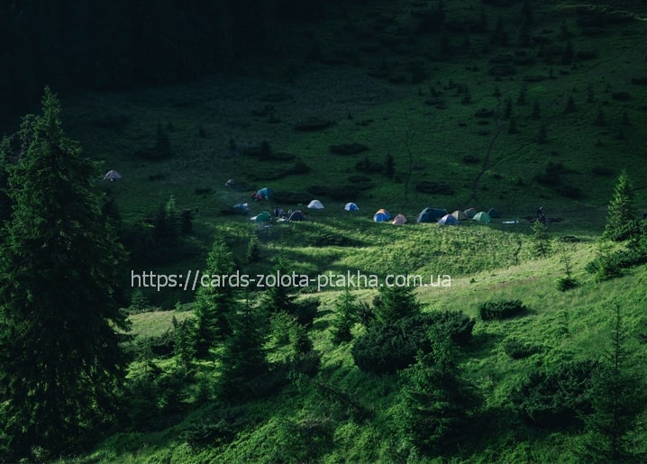 Colorful camping tents scattered across a green Carpathian mountain valley
