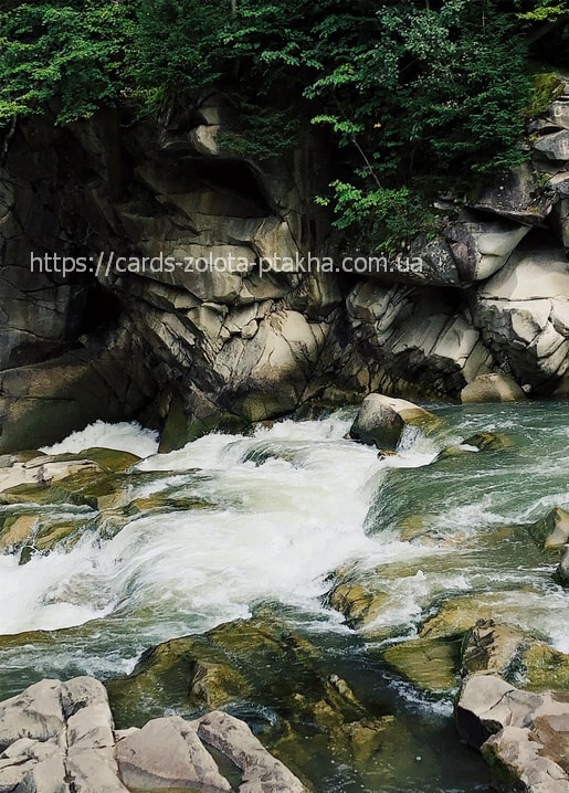 White rapids rush over rocky ledges beneath a forested cliff in the Carpathian Mountains, Ukraine.
