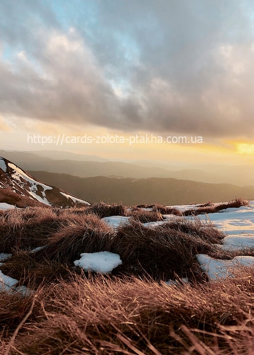 Sunset light on a snow-dusted Carpathian ridge with dry grass tussocks