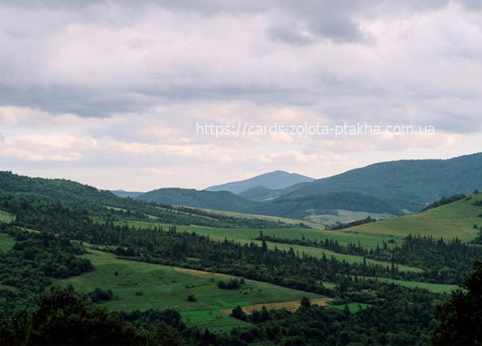 Layered green ridges of the Ukrainian Carpathians under a cloudy summer sky
