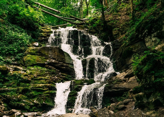 Mehrstufiger Wasserfall über moosigen Felsen im Karpatenwald