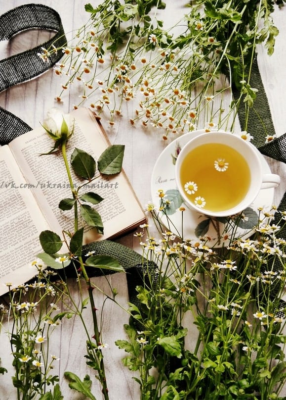 Cup of chamomile tea beside an open book with a white rose and wild chamomile flowers