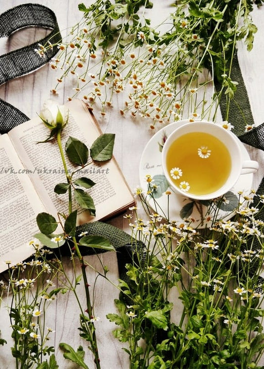Tasse Kamillentee neben aufgeschlagenem Buch mit weißer Rose und wilder Kamille