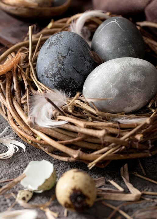 Charcoal and stone-grey Easter eggs in a twig nest with white feathers and quail eggs