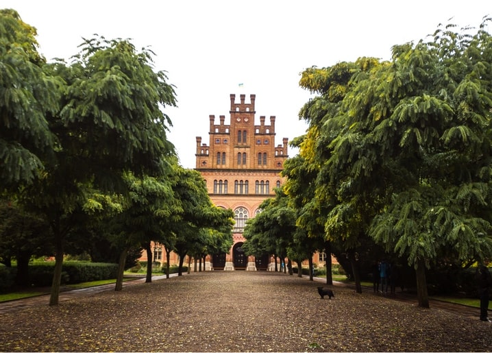 Tree-lined avenue leading to the red-brick towers of Chernivtsi National University