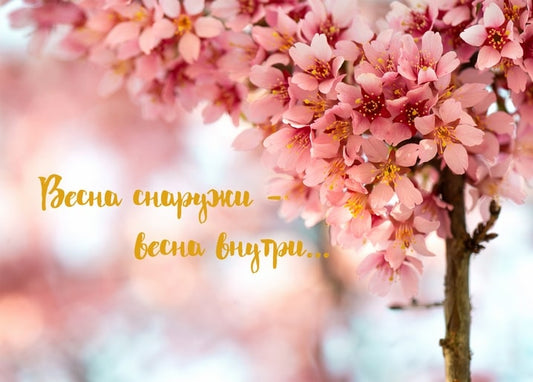 Zweig rosa Kirschblüten mit handgeschriebenem Frühlingsspruch in goldener Schrift