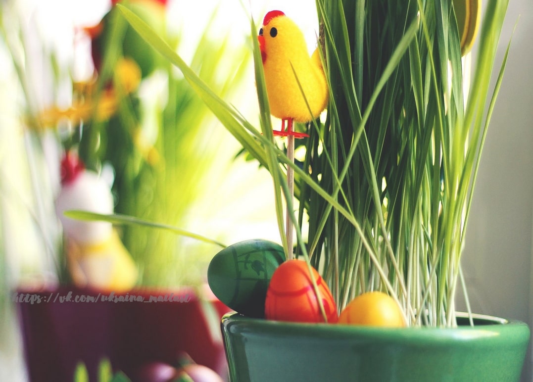 Flauschiges gelbes Küken im Ostergras mit winzigen bunten Ostereiern