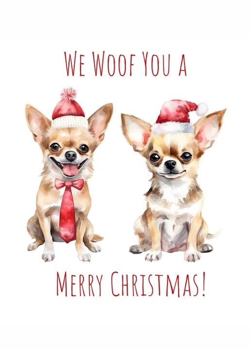 Zwei Chihuahuas mit Weihnachtsmützen neben dem Schriftzug „We Woof You a Merry Christmas“