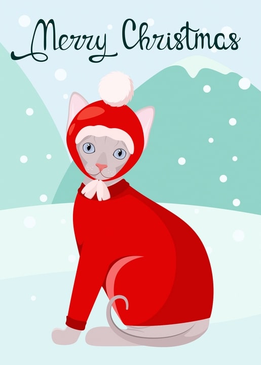 Graue Katze mit roter Nikolausmütze und Pullover im Schnee