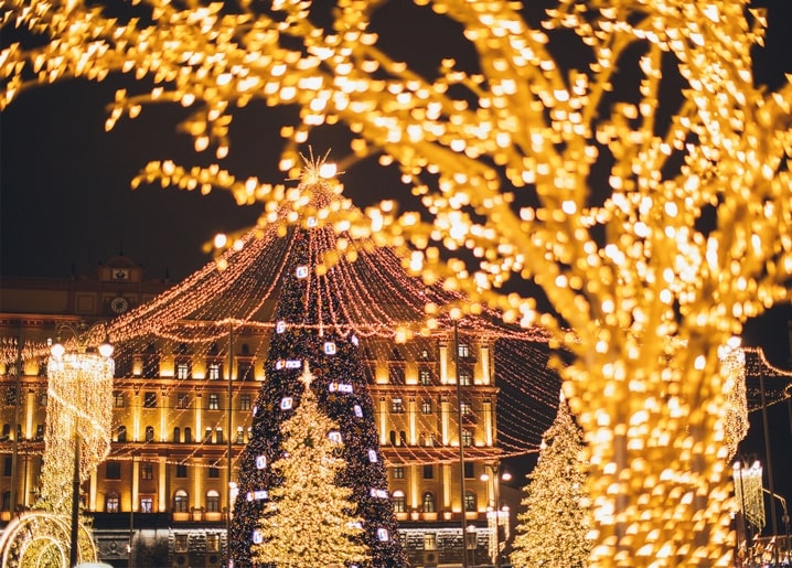 Golden-lit Christmas tree and illuminated building on a city square at night, seen through frosted branches