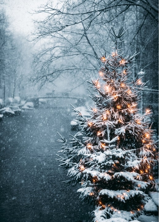 Beleuchteter Weihnachtsbaum im Schnee am Kanal, im Hintergrund eine verschwommene Brücke