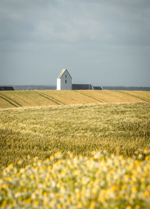Weißer Kirchturm über goldenem Weizenfeld mit verschwommenen Wildblumen