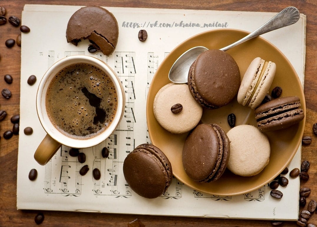 Kaffeetasse und Schoko-Macarons auf einem Teller über Notenblättern