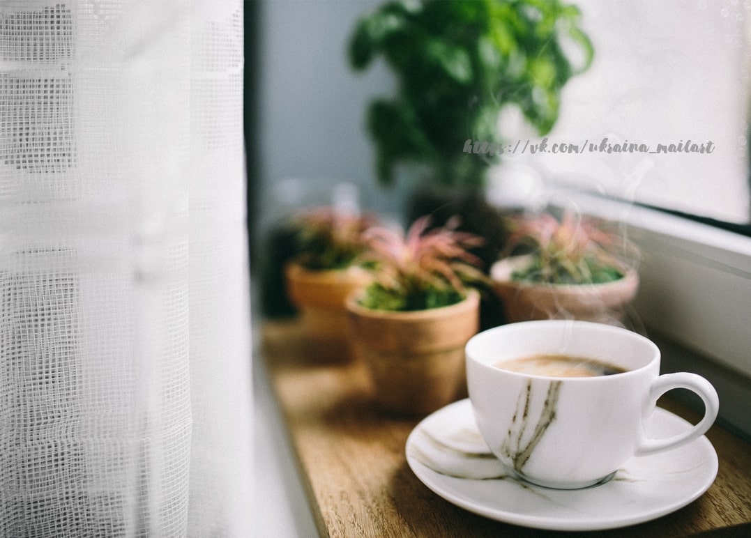 Dampfende Kaffeetasse auf Marmoruntertasse am Fenster mit Sukkulenten im Topf