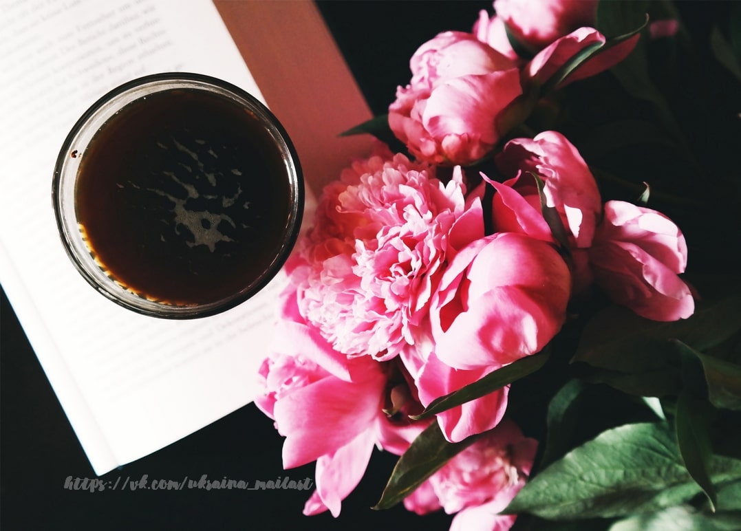 Glas schwarzer Kaffee auf einem aufgeschlagenen Buch neben rosa Pfingstrosen