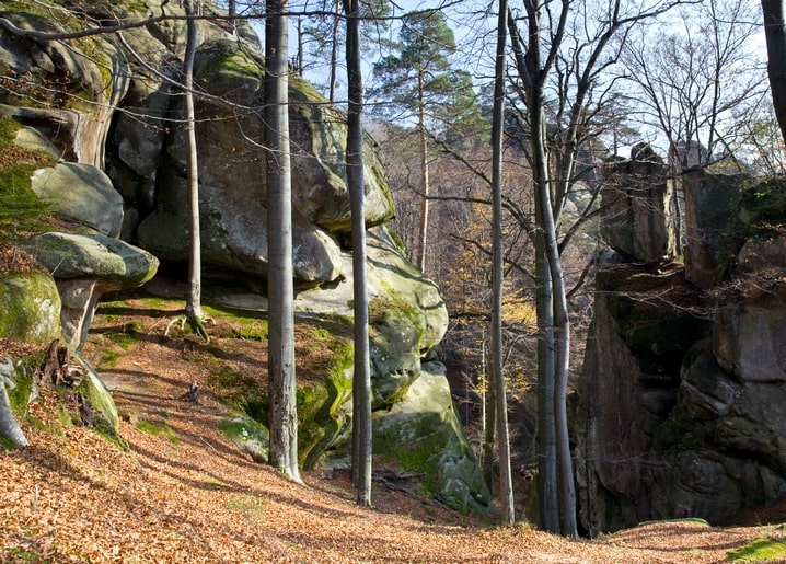 Moss-covered Dovbush Rocks among autumn beech trees in the Ukrainian Carpathians
