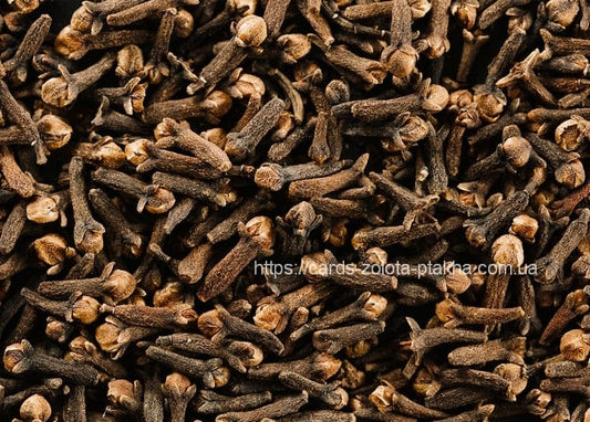 Close-up macro texture of whole dried cloves covering the frame edge to edge.