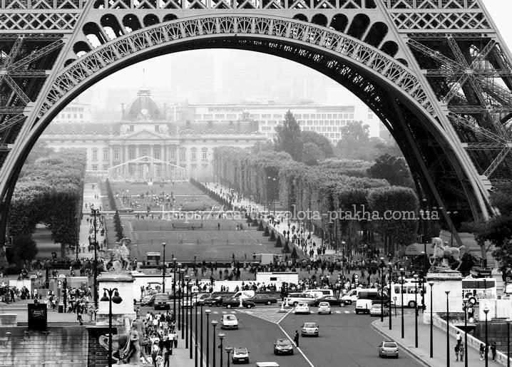 Champ de Mars und Ecole Militaire im Bogen des Eiffelturms gesehen