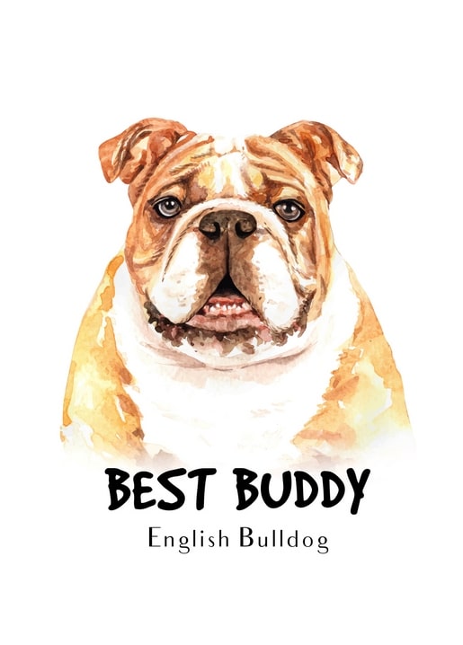 Aquarellporträt einer englischen Bulldogge mit Hängebacken, Unterschrift „Bester Kumpel“