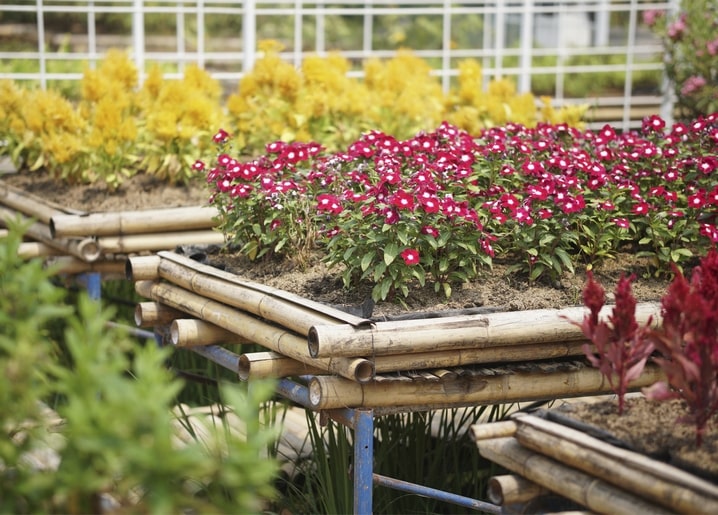 Raised flower beds on bamboo stands with red and yellow blooms at a garden nursery