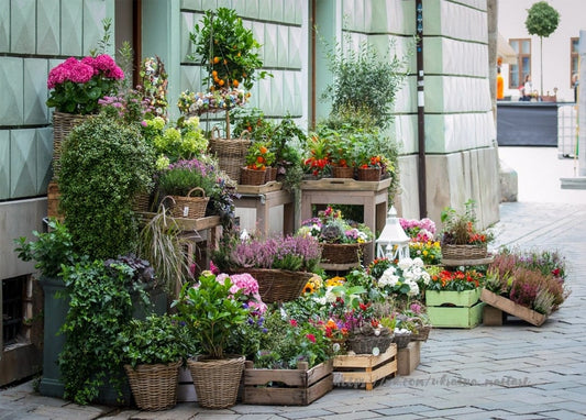 Straßenauslage eines Blumenladens mit Weidenkörben, Hortensien und Zitrusbaum im Topf