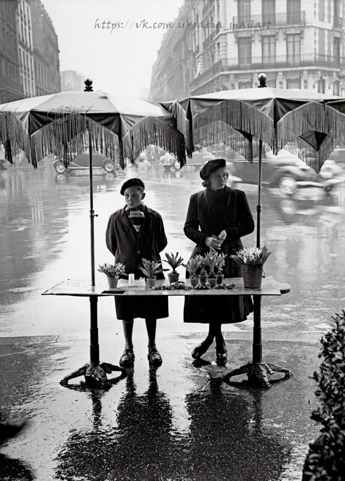 Boy and woman selling potted flowers under fringed umbrellas on a rainy Paris street