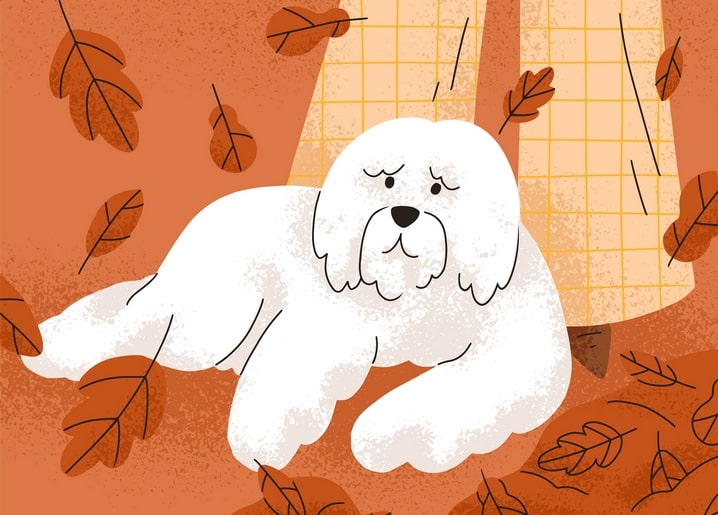 Illustration eines flauschigen weißen Hundes zwischen Herbstblättern, im Hintergrund eine karierte Hose