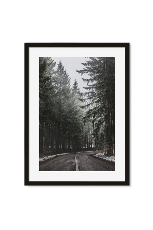 Black-and-white photo of a road curving through a foggy pine forest dusted with snow