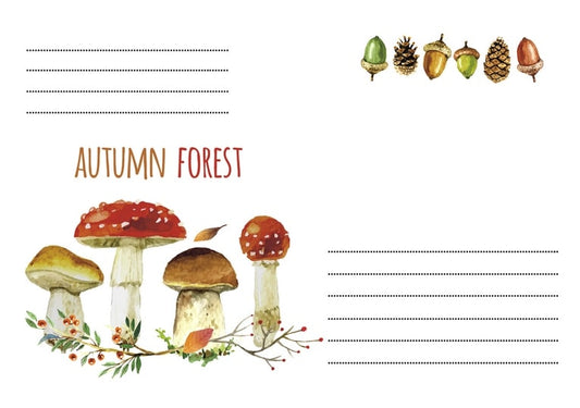 Мухомори, білі гриби, жолуді та шишки з написом «AUTUMN FOREST» на конверті
