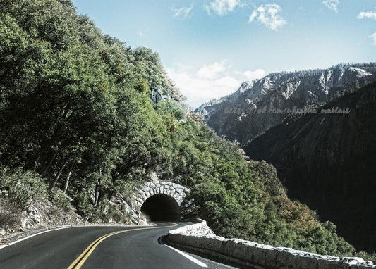 Waldstraße, die sich zu einem alten Steintunnel schlängelt