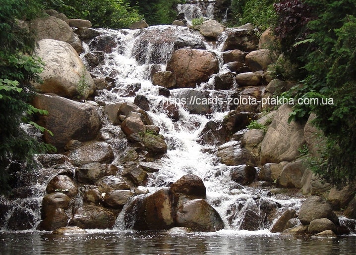White water cascading down mossy boulders in a green forest