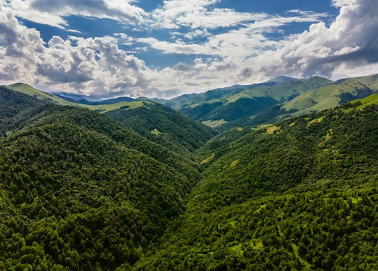 Luftaufnahme eines bewaldeten V-förmigen Bergtals unter einem Himmel mit weißen Wolken