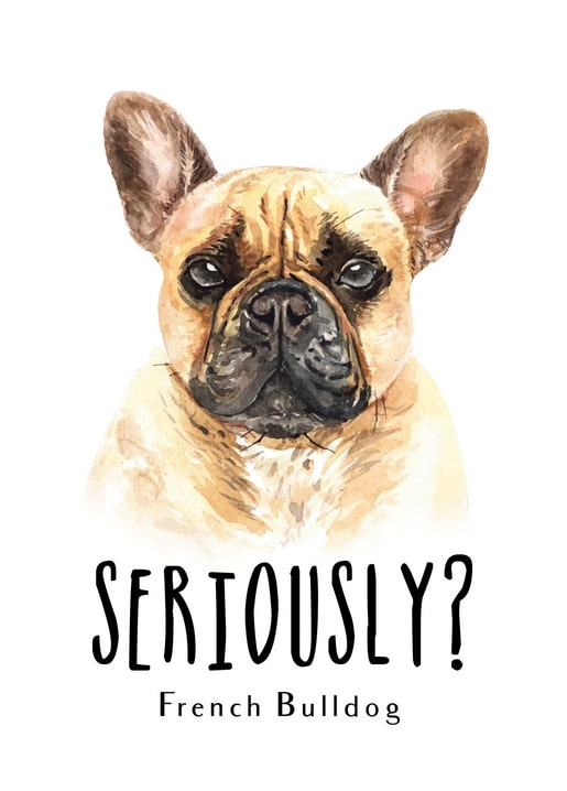 Aquarellporträt einer französischen Bulldogge mit der Bildunterschrift „Ernsthaft?“