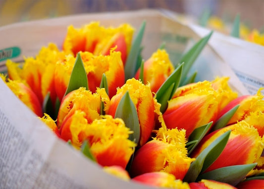 Nahaufnahme orange-gelber Papageientulpen im Packpapier auf einem Blumenmarkt