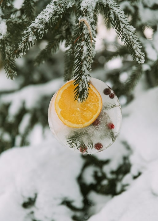 Eisornament mit Orangenscheibe und Cranberrys an einem schneebedeckten Tannenzweig