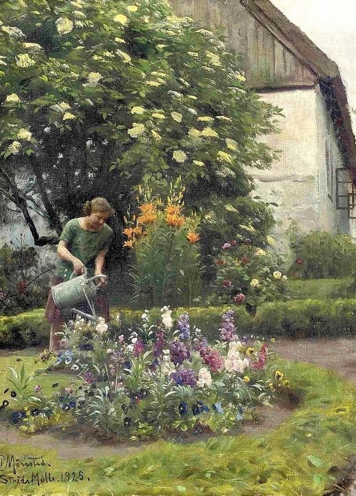 Peder Mønsted painting: woman watering orange lilies by a blooming elderberry tree, 1925