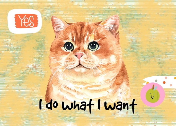 Porträt einer roten Katze auf senfgelbem Hintergrund mit „Yes“-Stempel und Apfel-Sticker
