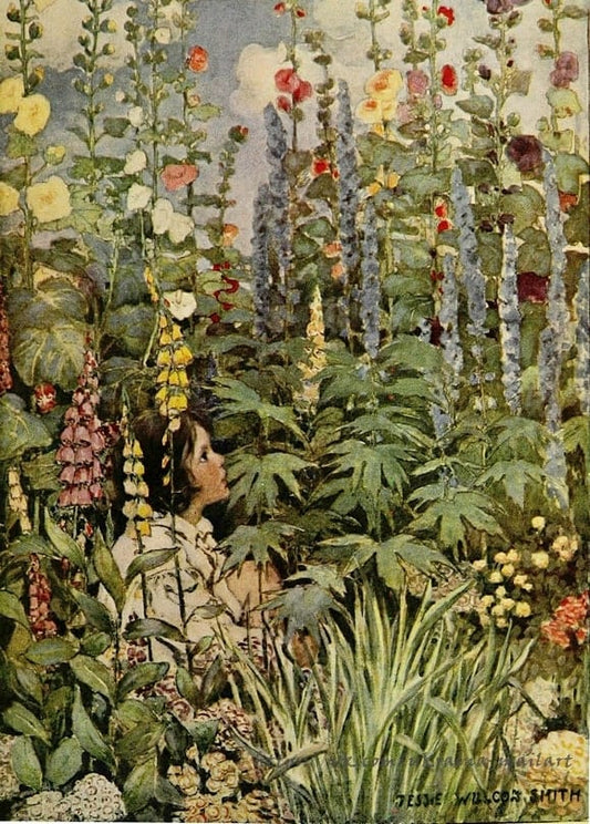 Girl looking up through hollyhocks and foxgloves in a garden illustration by Jessie Willcox Smith