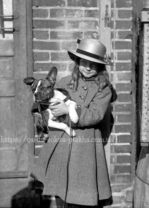 Mädchen mit Strohhut hält einen Boston-Terrier-Welpen an einer Backsteinmauer