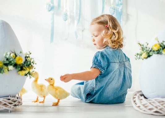 Curly-haired toddler in denim reaching toward two fluffy ducklings near pastel Easter eggs