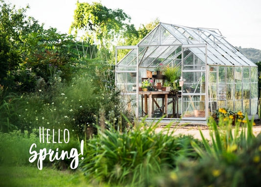 Glasgewächshaus im Garten mit blühenden Wildblumen im Vordergrund