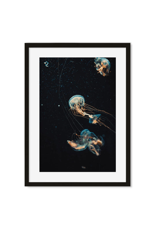 Three jellyfish with trailing orange tentacles drifting through dark water, photography poster