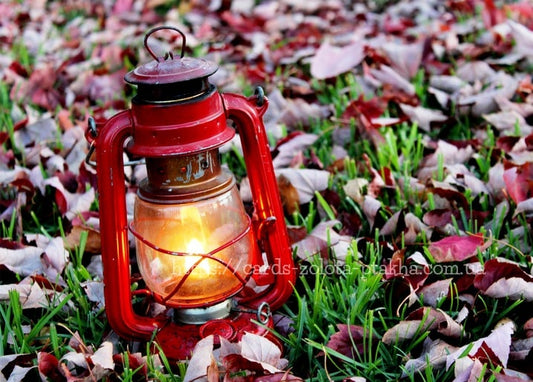 Eine brennende rote Sturmlaterne zwischen buntem Herbstlaub auf grünem Gras.