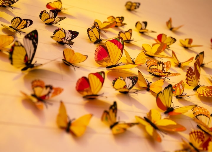 Schwarm goldener Schmetterlinge an Fäden im warmen Gegenlicht