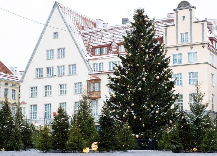 Golden-lit Christmas tree in a snowy old town square with gabled rooftops