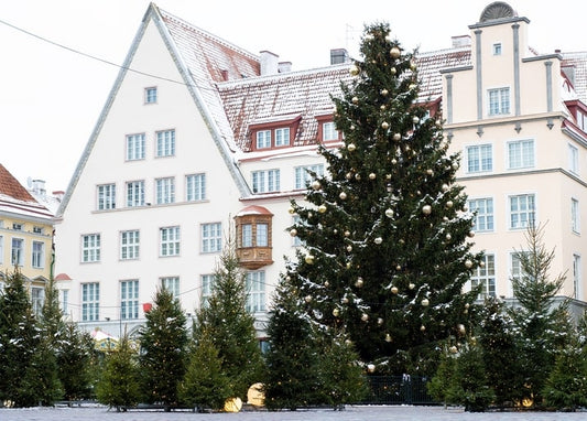 Golden-lit Christmas tree in a snowy old town square with gabled rooftops