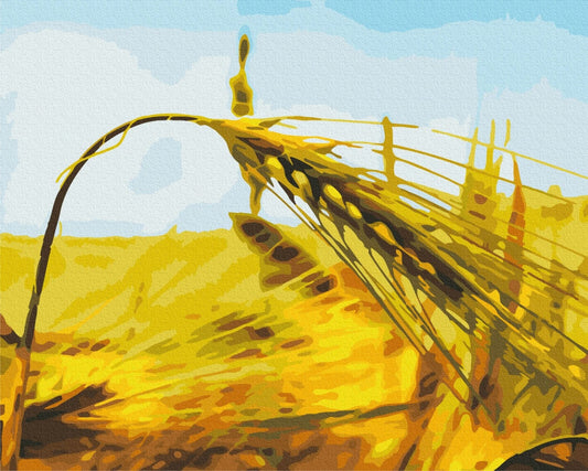 Nahaufnahme einer goldenen Roggenähre vor blauem Sommerhimmel