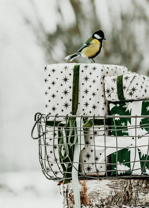 Great tit perched on a wire basket of star-print wrapped gifts in the snow