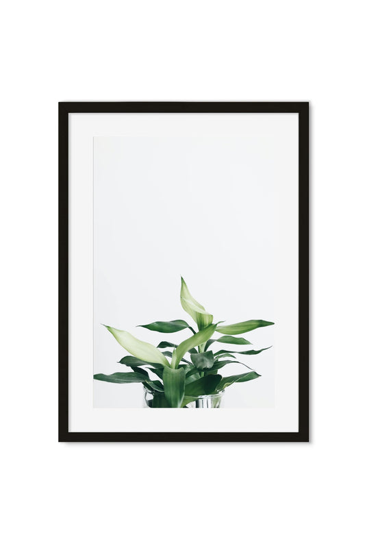 Botanical poster of fresh green leaves in a glass vase against a white background